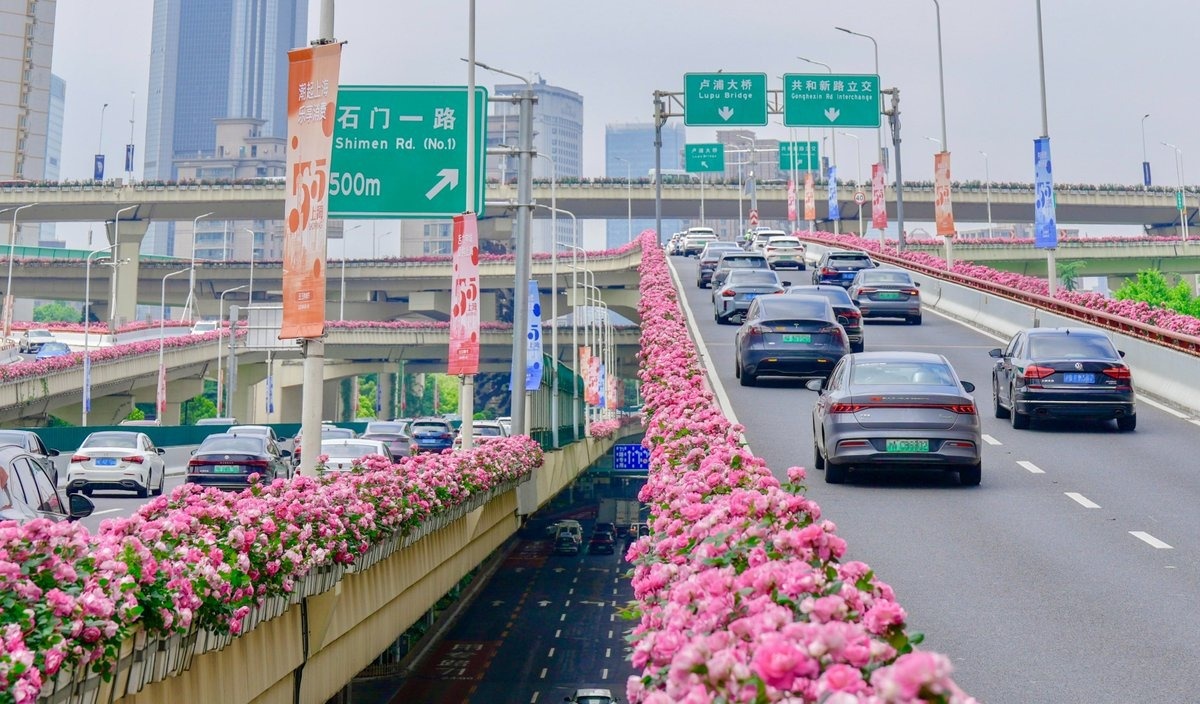 రోడ్ల నిండా పూలే ఉండే ఫ్లవర్ సిటీ