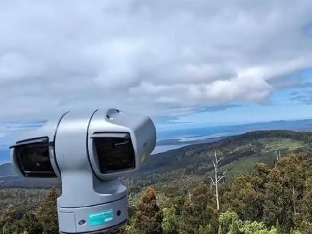 నల్లమల అడవిలో కృతిమ ఏఐ కెమెరాలు