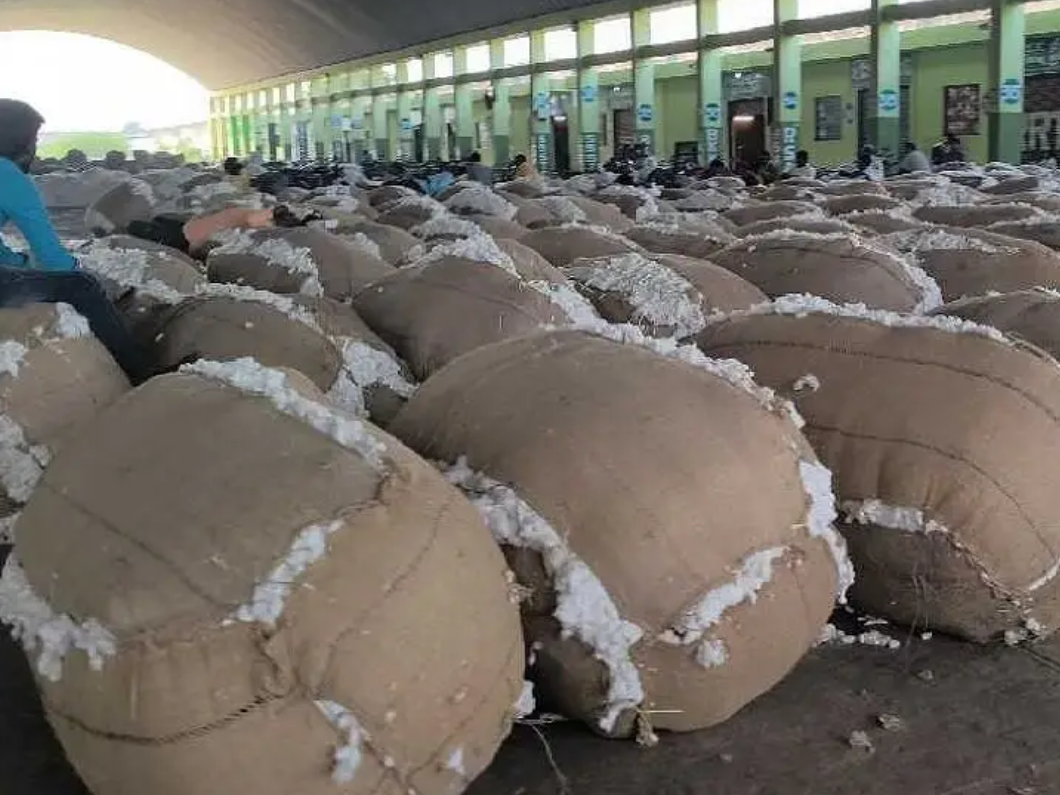 ఆదోని వ్యవసాయ మార్కెట్ యార్డ్ ధరలు ఇలా..!