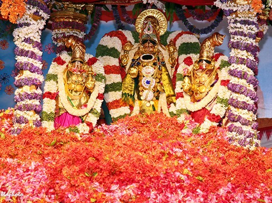 15న కళ్యాణ వేంకన్నకు పుష్పయాగం