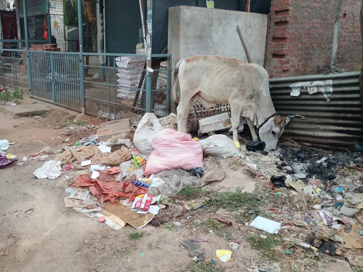 పంచాయతీలో పారిశుధ్య లోపం