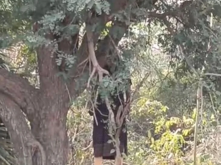 ఉరేసుకుని యువతి ఆత్మహత్య