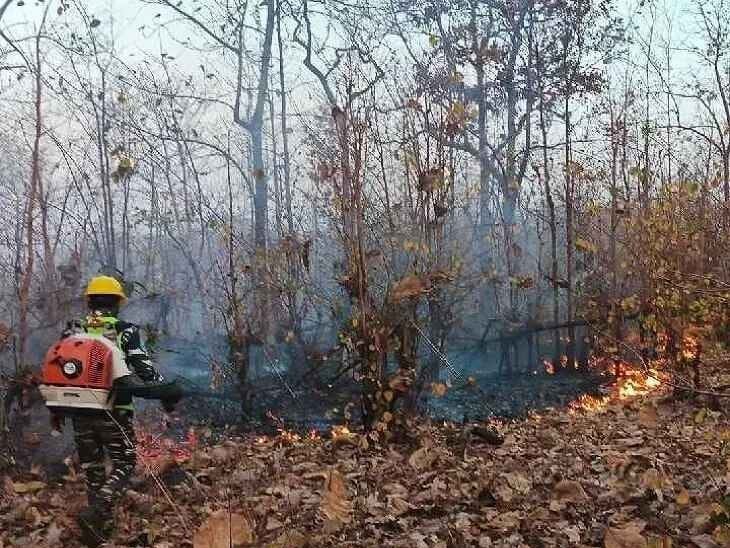 పలు బీట్లలో చెలరేగిన మంటలు.. ఆర్పివేసిన అధికారులు