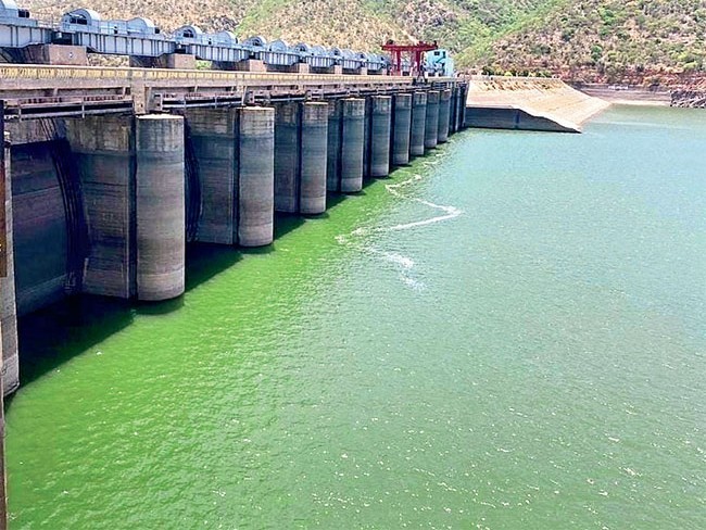 సోమశిల జలాశయానికి 702 క్యూసెక్కుల వరద