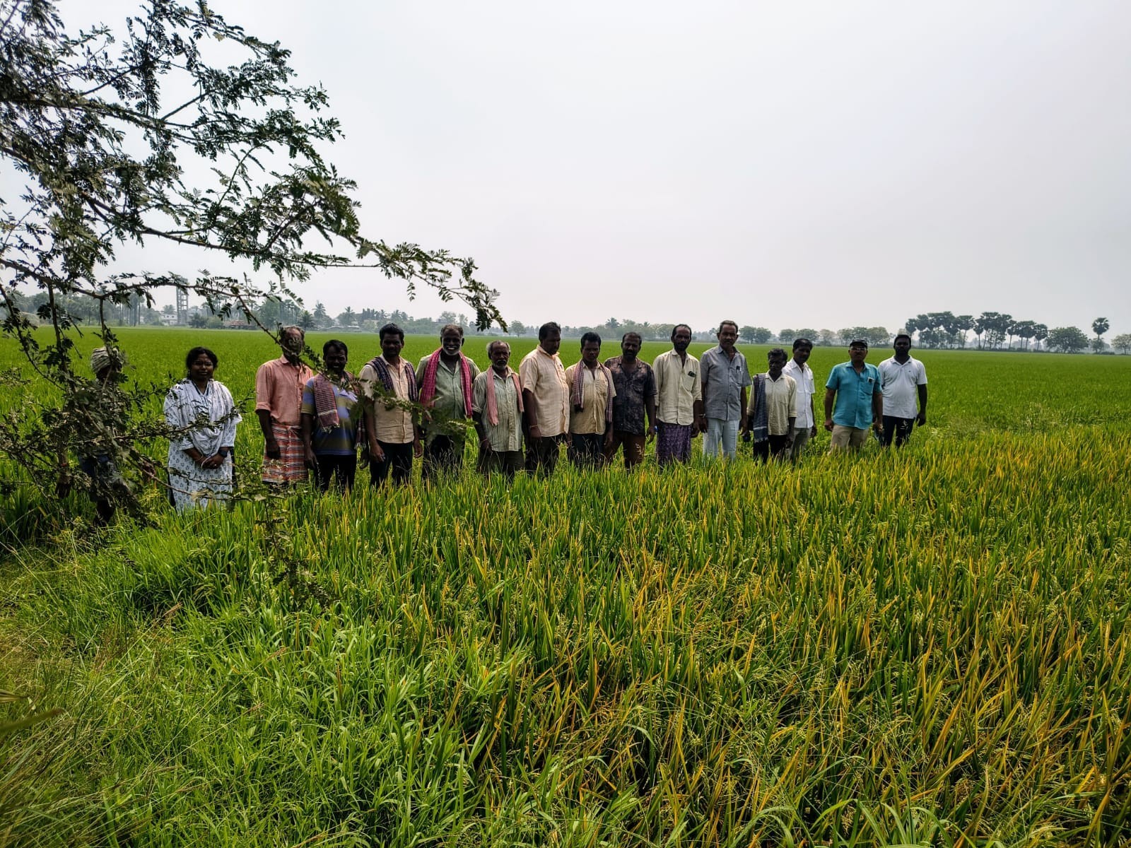 “పొలం పిలుస్తోంది” కార్యక్రమంలో రైతులకు సూచనలు