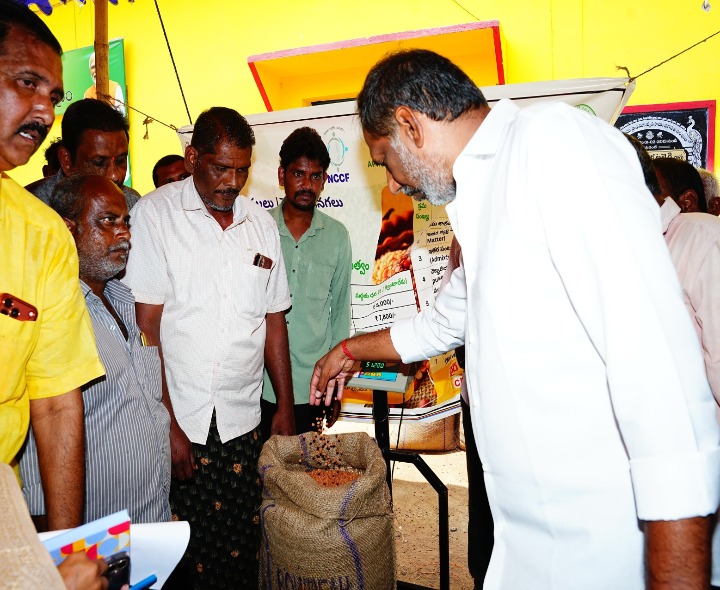 పమిడిపాడులో శనగల కొనుగోలు కేంద్రం ప్రారంభం