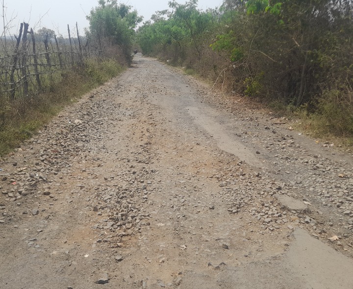 గుండాల గ్రామస్థులకు రోడ్డు కష్టాలు..!