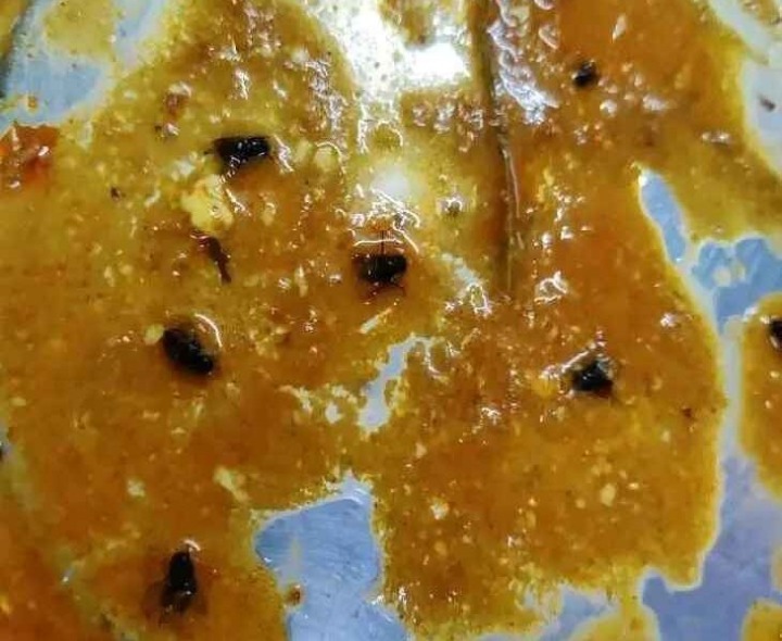 ANU స్పోర్ట్స్ హాస్టల్ భోజనంలో ఈగలు