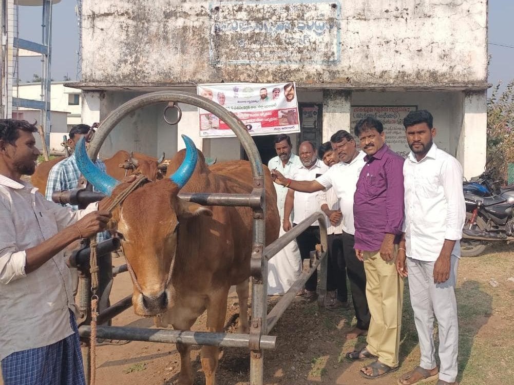 ‘పశువులకు గాలికుంటు టీకాలు తప్పనిసరి’