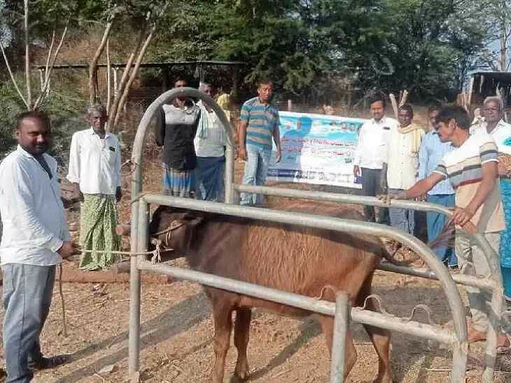 ‘పశువుల ఆరోగ్యంపై రైతులు అప్రమత్తంగా ఉండాలి’