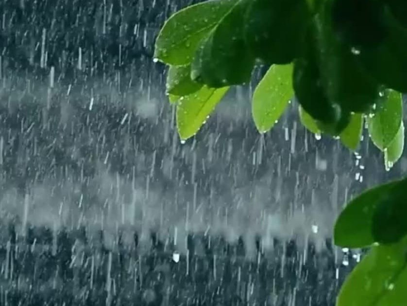 చల్లటి కబురు…ఈ నెల 16 నుంచి వర్షాలు