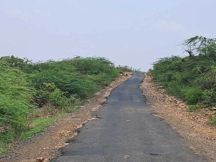 శిథిలావస్థలో తాడిపత్రి–కోవెలకుంట్ల రహదారి