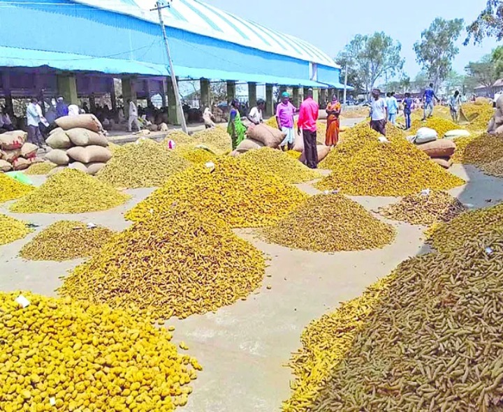 దుగ్గిరాల యార్డులో నిలకడగా పసుపు ధరలు