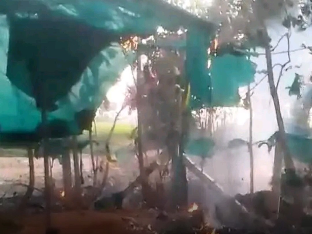 అగ్నిప్రమాదం.. 900 మొక్కలు దగ్ధం