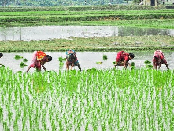 అన్నదాత సుఖీభవ నిధుల విడుదల