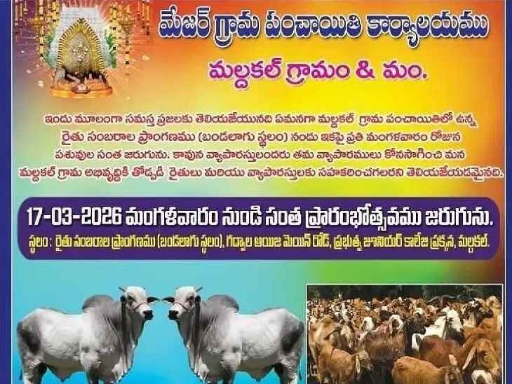 మల్దకల్లో పశు, కోళ్ల సంత ప్రారంభం