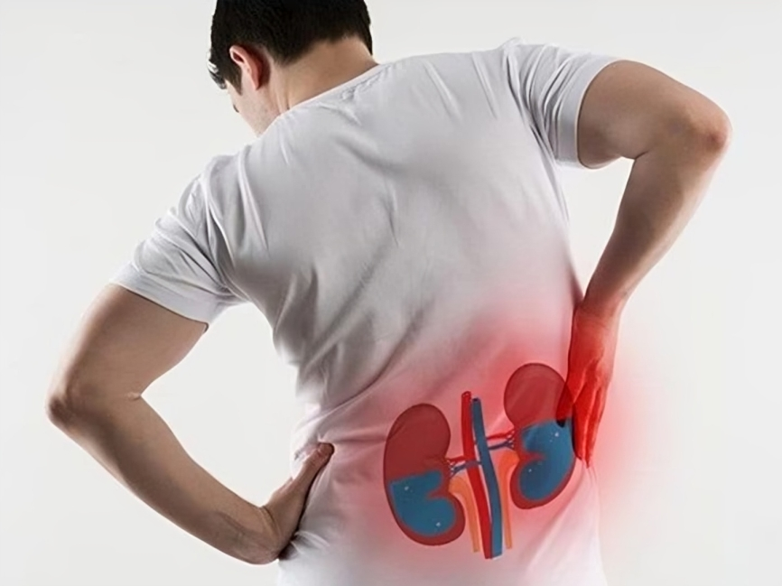 వేసవి ముప్పు.. మీ కిడ్నీలు డేంజర్‌లో ఉన్నాయా?