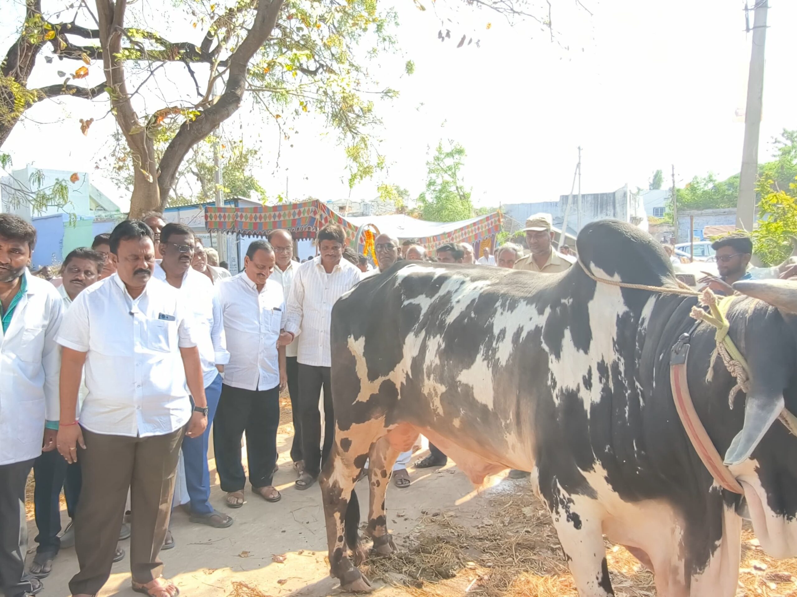 ఉచిత పశు వైద్య శిబిరాన్ని ప్రారంభించిన MLA