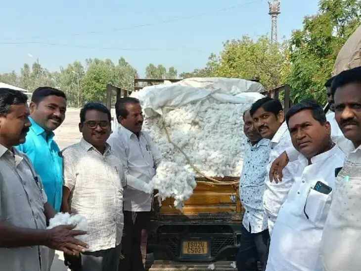 స్వల్పంగా పెరిగిన పత్తి ధర