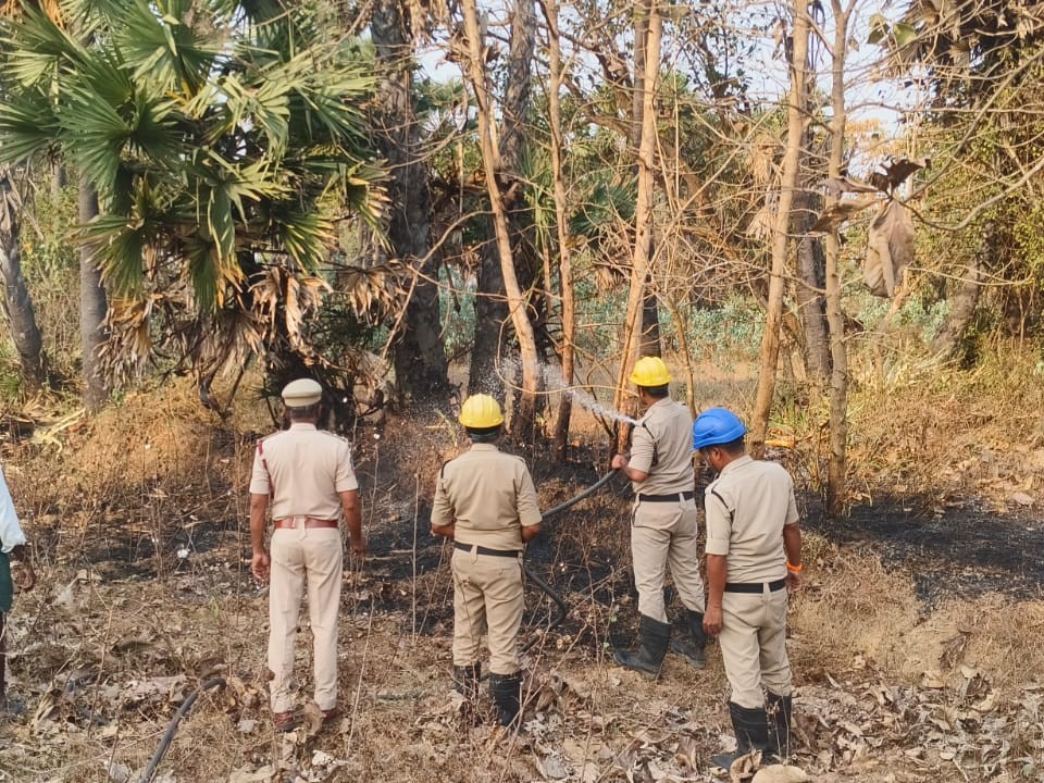 మధుపాడలో అగ్నిప్రమాదం