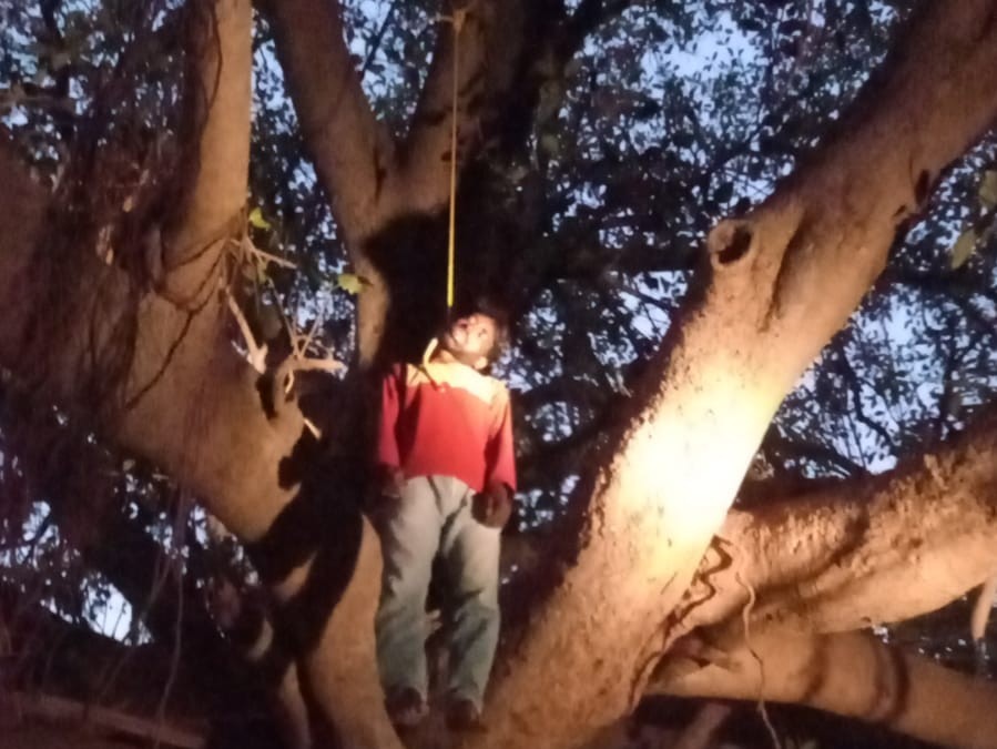 విషాదం.. చెట్టుకు ఉరేసుకున్న వ్యక్తి