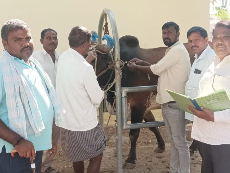 ‘ఏడాదికి రెండు సార్లు ఈ టీకాలు వేయించాలి’