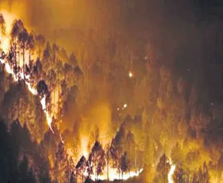 మహానంది కేత్రం వద్ద రాచుకున్న కార్చిచ్చు