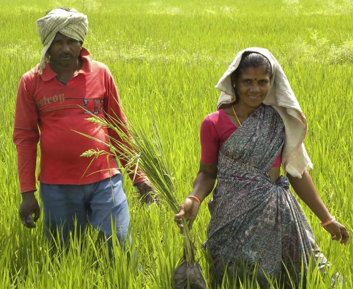 ఇవాళ అన్నదాత సుఖీభవ 3.0 నిధుల విడుదల