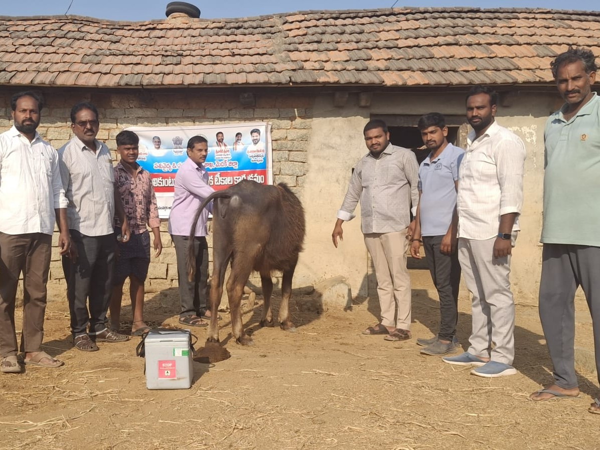 పాలాటలో గాలికుంటు వ్యాధి టీకాలు