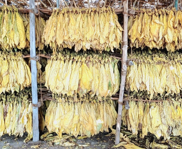 వేలంకేంద్రం ప్రారంభం.. సంక్షోభంలో రైతులు