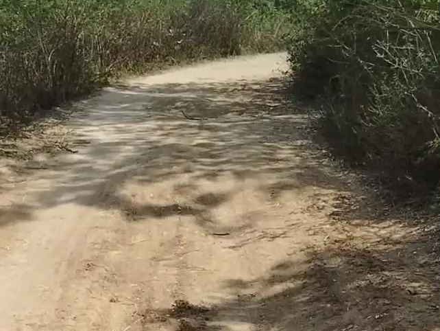 మట్టి రోడ్డుతో ఇబ్బందులు పడుతున్న ప్రజలు రైతులు