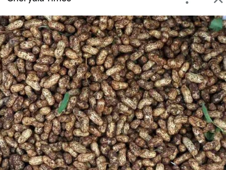 వరంగల్ మార్కెట్లో చిరుధాన్యాల ధరలిలా..!