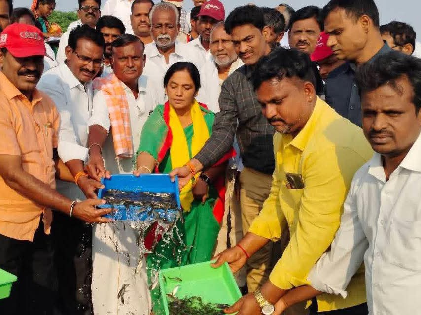 చెరువుల్లోకి చేప పిల్లలు వదిలిన ఎమ్మెల్యే