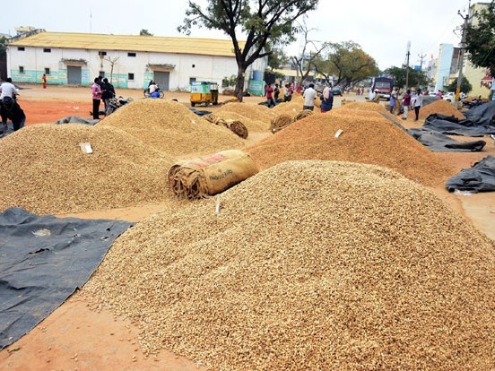 వేరుసెనగ గరిష్ఠ ధర రూ.8,700