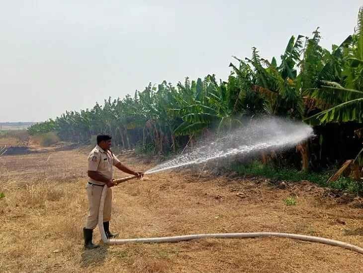 అరటి తోటలో అగ్నిప్రమాదం