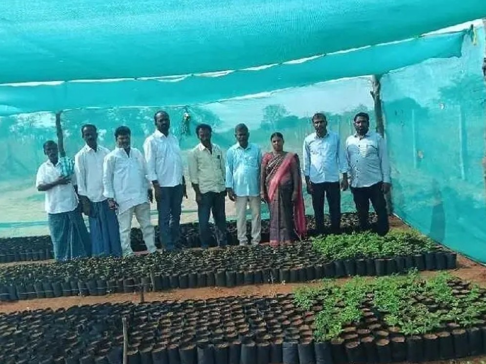 ఉపాధి హామీ నర్సరీని పరిశీలించిన సర్పంచ్