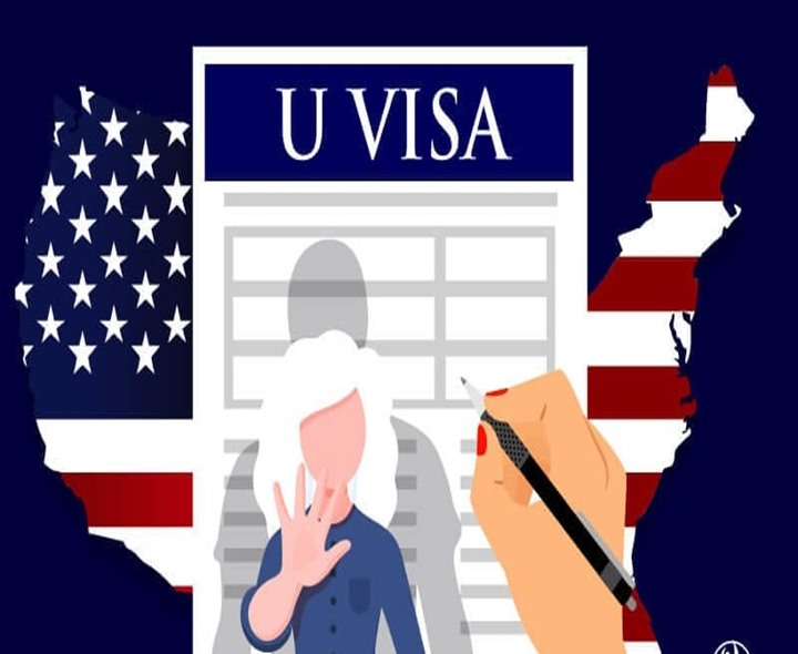 అమెరికా U వీసా అంటే ఏంటి?