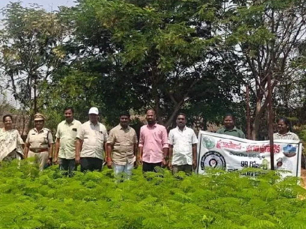 నర్సరీని పరిశీలించిన అధికారులు