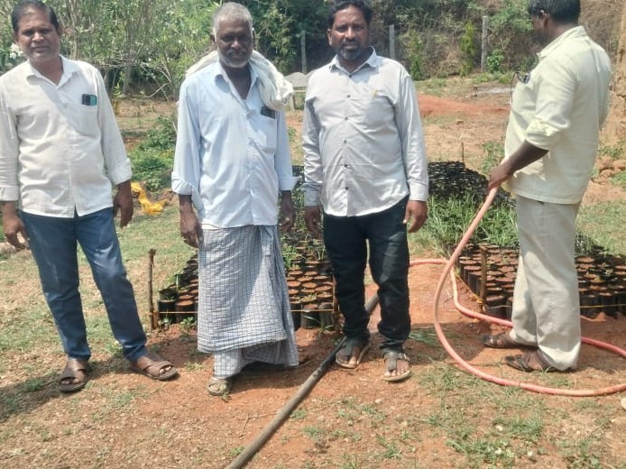 ‘మొక్కల పెంపకంపై ప్రత్యేక శ్రద్ధ వహించాలి’