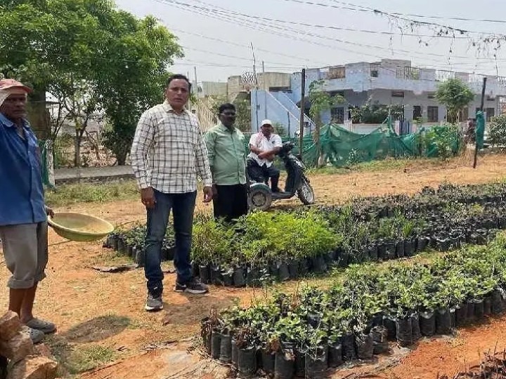 నర్సరీ మొక్కలను పరిశీలించిన ఎంపీడీవో