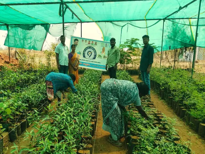 ప్రతి ఒకరు బాధ్యతతో మొక్కలు నాటాలి: సర్పంచ్