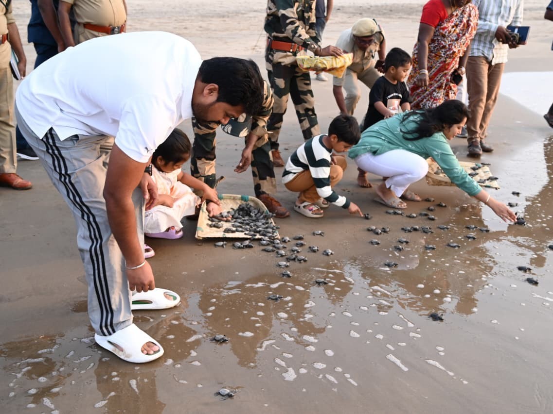 తాబేళ్ల  సంరక్షణలో ఇంక్యుబేషన్ సెంటర్ల పాత్ర కీలకం: కలెక్టర్