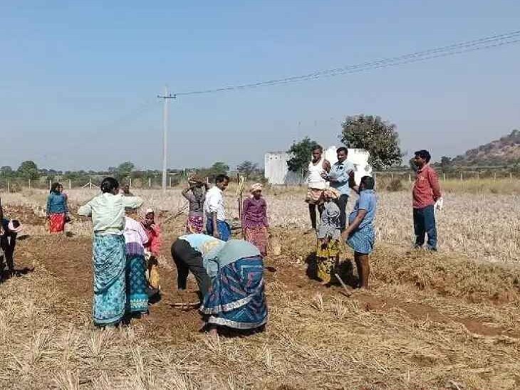 ఉపాధి హామీ పనులను పరిశీలించిన ఏపీవో