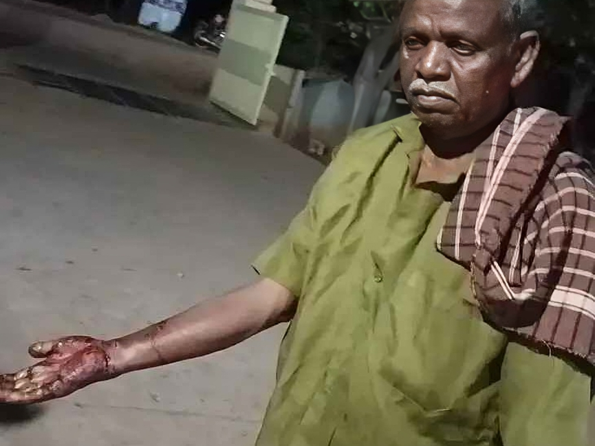 ఎలుగుబంటి దాడి.. తప్పిన ప్రమాదం