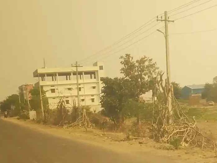 మొక్కలు నాటి.. అడ్డుగా వచ్చాయని నరికేస్తారు!