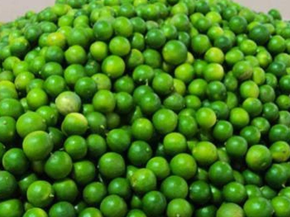 నిమ్మకు రికార్డు ధర ..!!