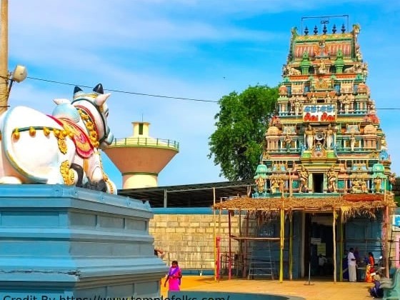 నేడు సురుటుపల్లి ఆలయంలో ప్రదోష పూజలు