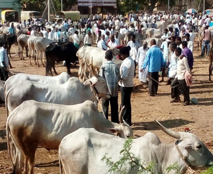 పశువుల సంతల ద్వారా రూ.4.12 లక్షల ఆదాయం