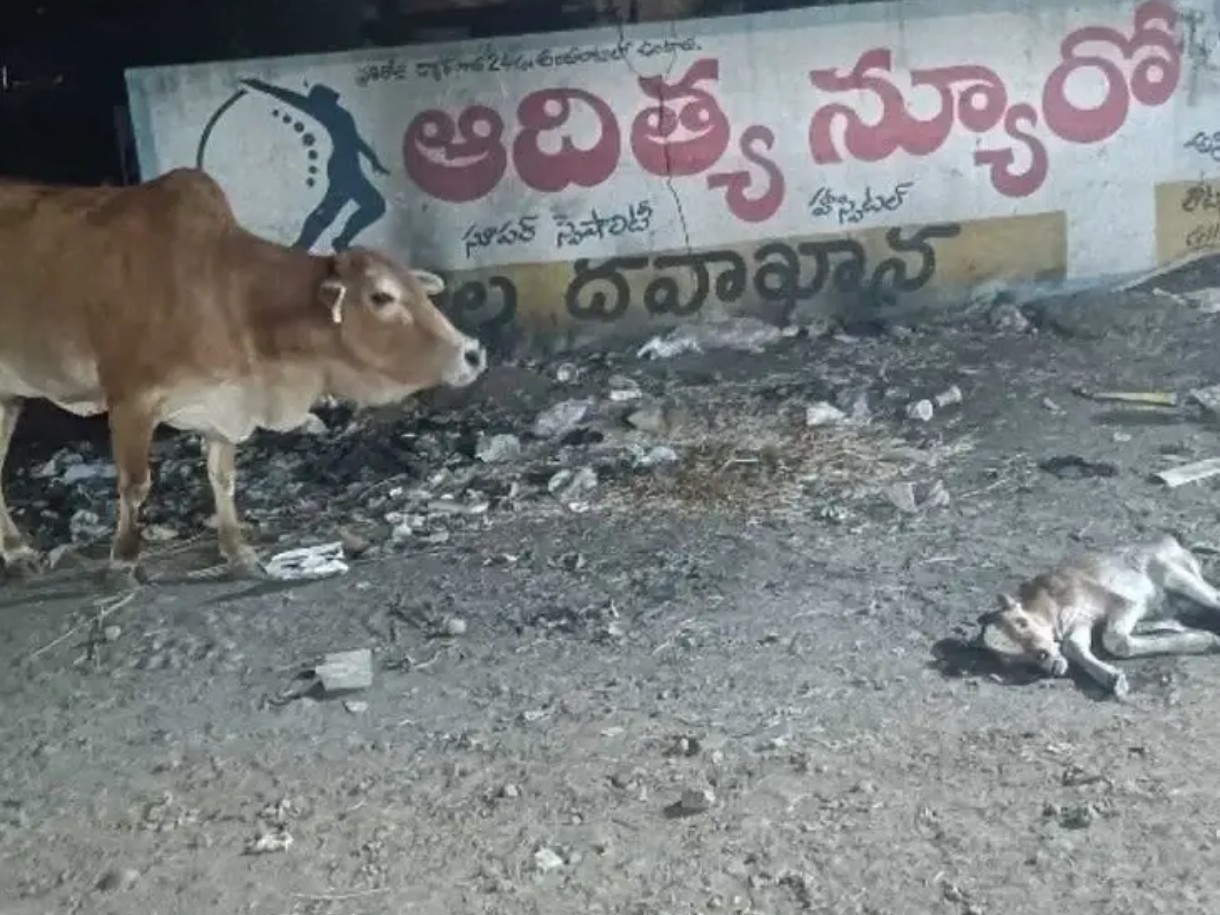 తల్లడిల్లిన తల్లి ప్రేమ