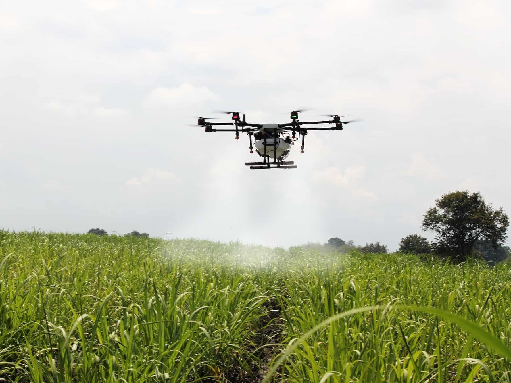 మందు పిచికారికి డ్రోన్ మామ..!